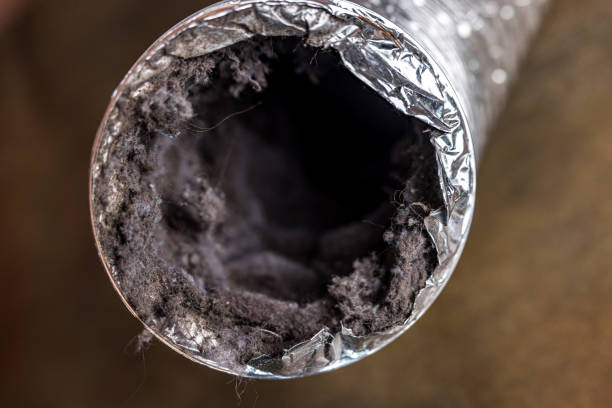Best Ductwork Cleaning Services  in Thoreau, NM